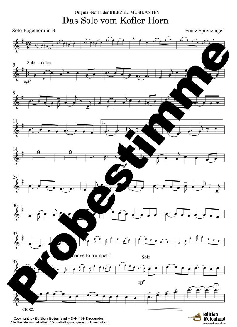 Das Solo vom Kofler Horn